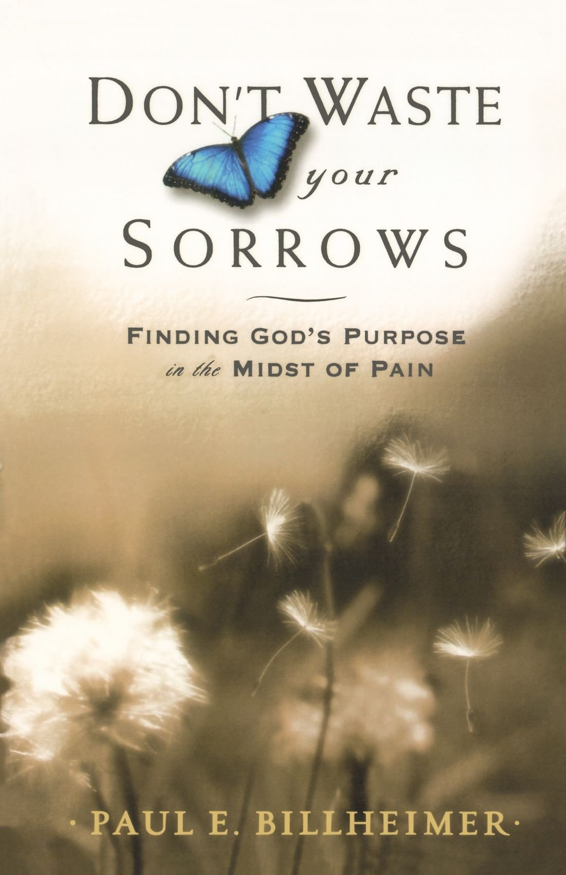 Dont Waste Your Sorrows: Finding Gods Purpose in the Midst of Pain-New