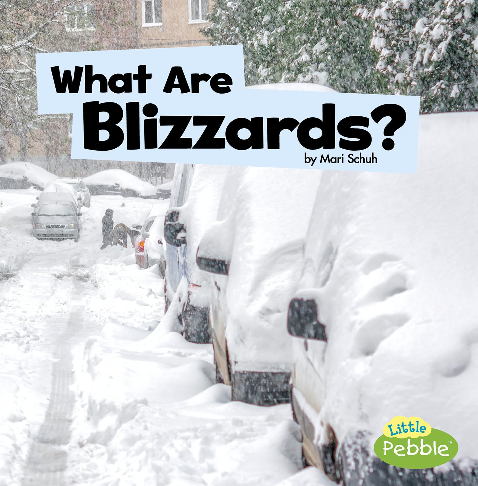 What Are Blizzards? (Wicked Weather) (Little Pebble),Used