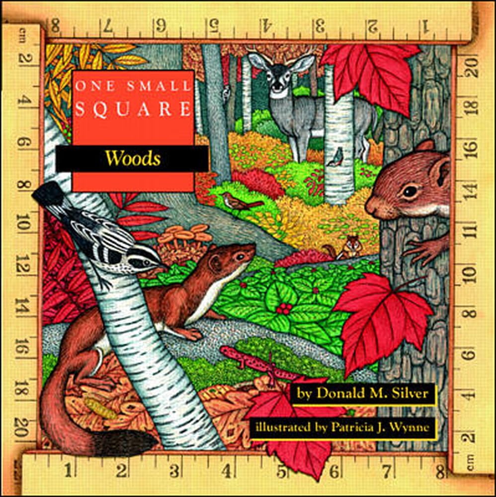 One Small Square: Woods,New