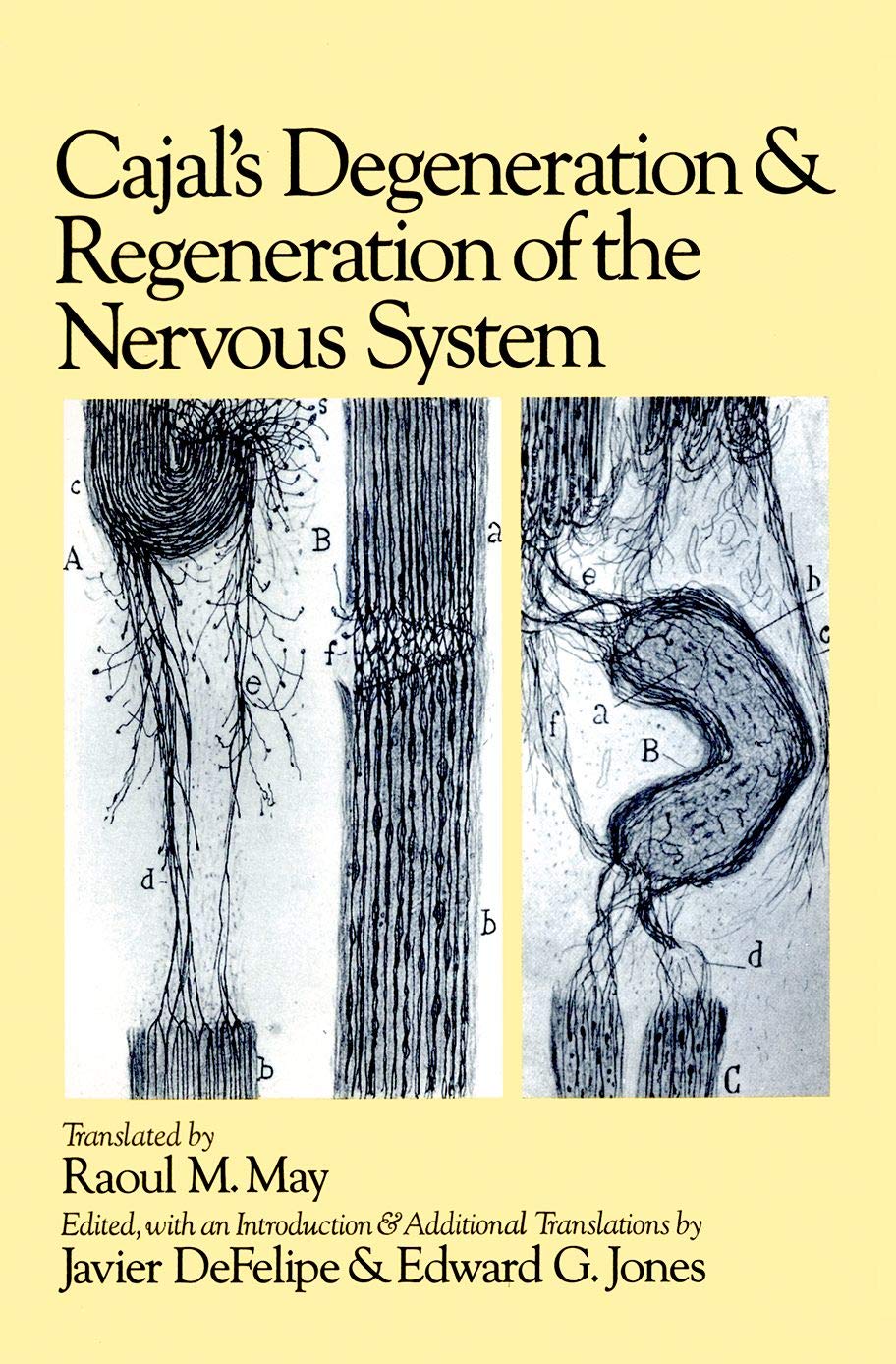 Cajal's Degeneration and Regeneration of the Nervous System (History of Neuroscience),Used
