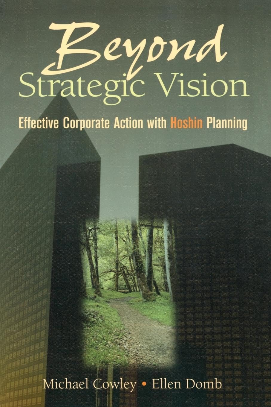 Beyond Strategic Vision,New