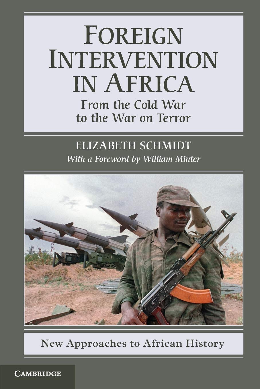 Foreign Intervention in Africa: From the Cold War to the War on Terror (New Approaches to African History, Series Number 7),Used