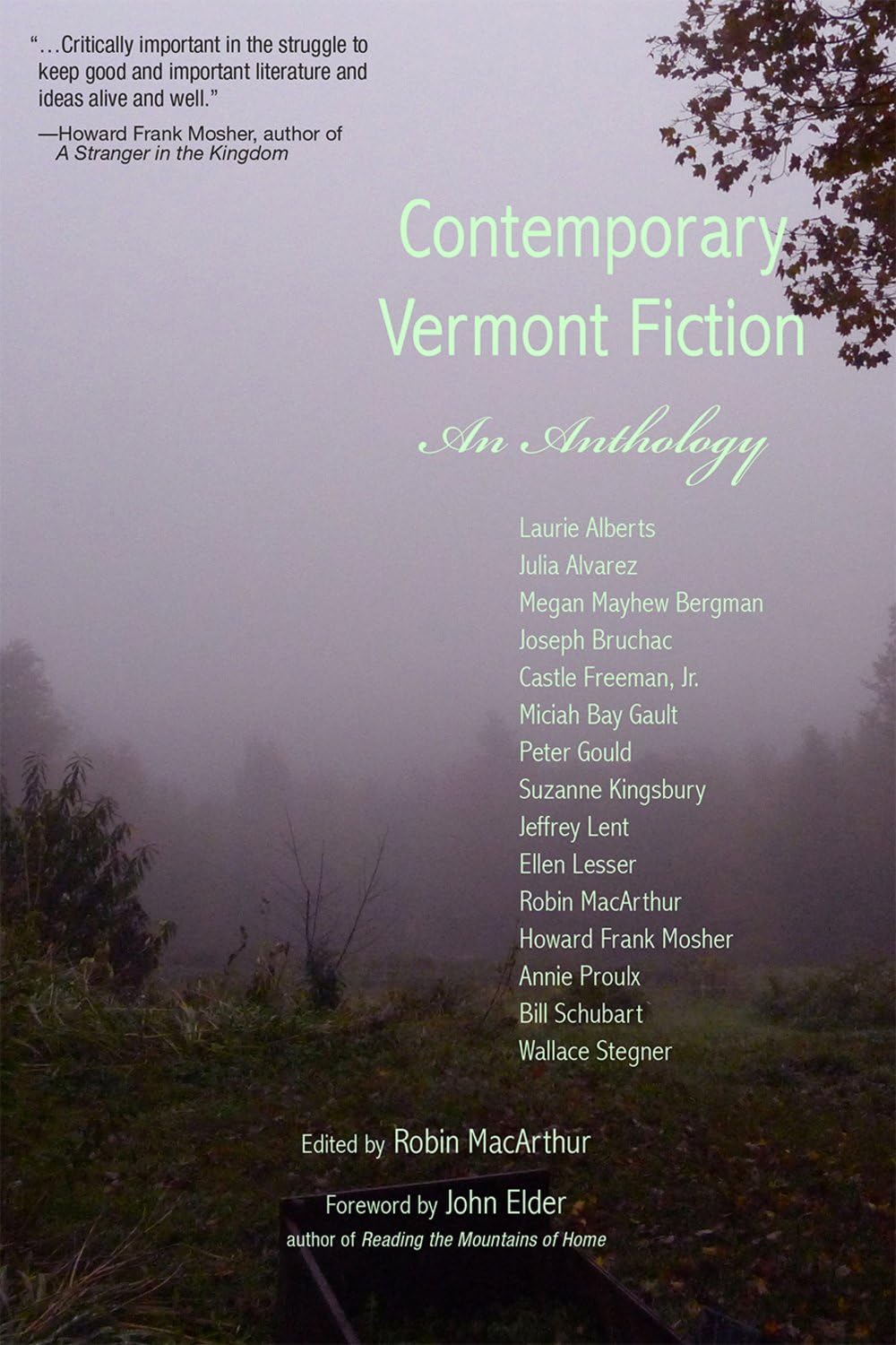 Contemporary Vermont Fiction: An Anthology,Used