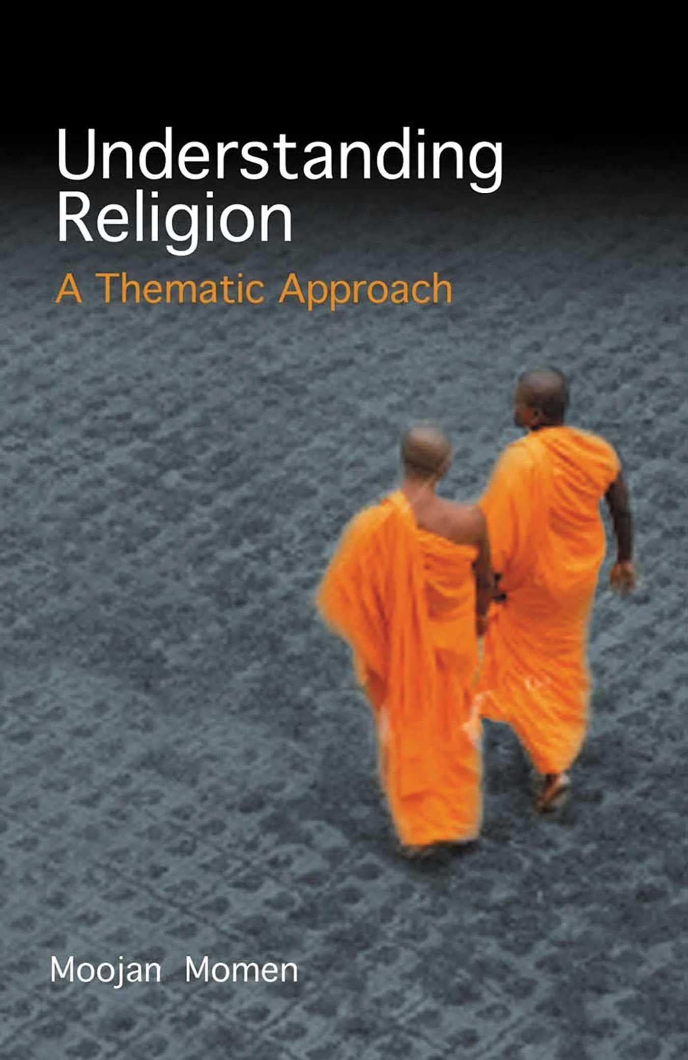 Understanding Religion: A Thematic Approach,Used