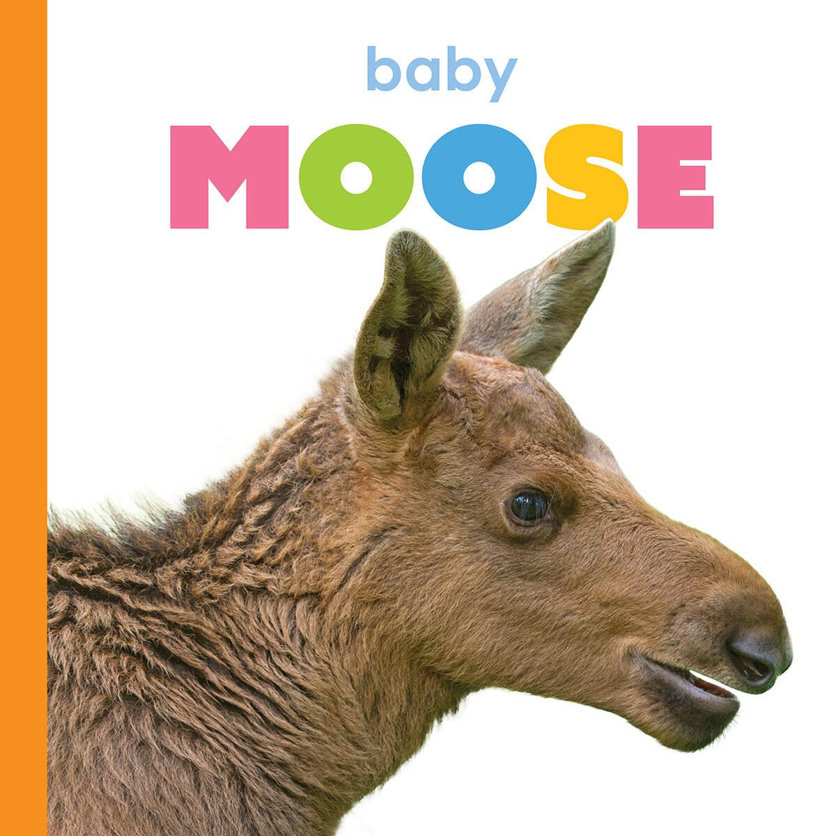 Baby Moose (Starting Out)