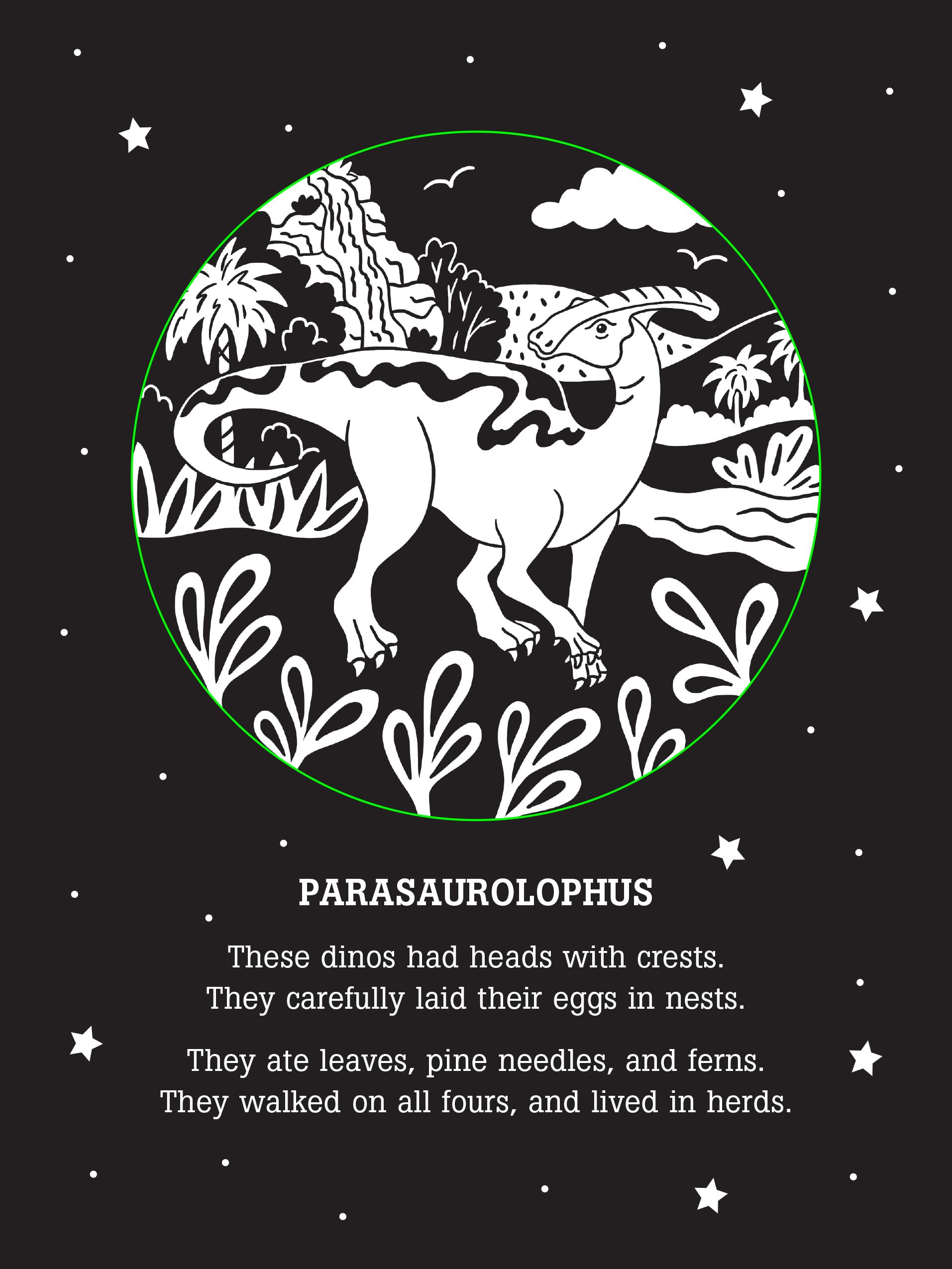 Dinos After Dark Bedtime Shadow Book,Used