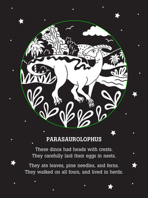 Dinos After Dark Bedtime Shadow Book,Used