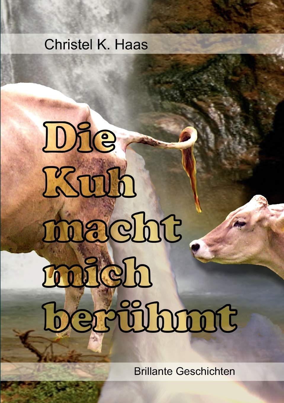 Die Kuh macht mich berhmt: Brillante Geschichten (German Edition),Used