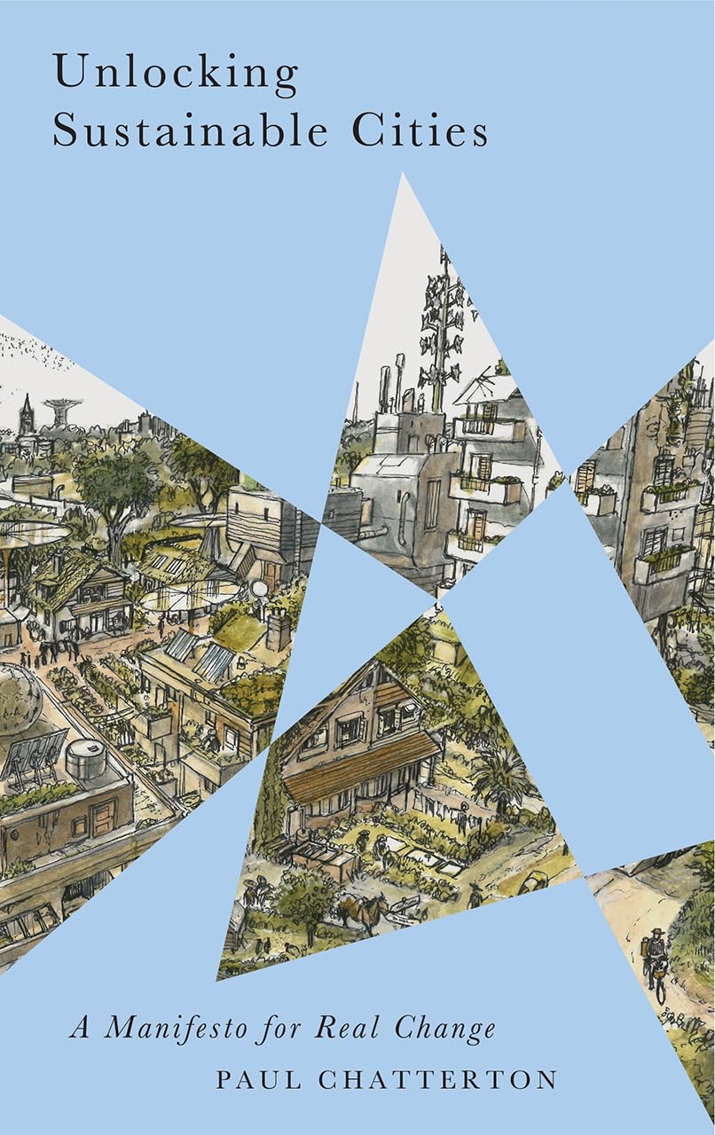 Unlocking Sustainable Cities: A Manifesto for Real Change (Radical Geography),Used