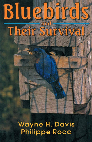 Bluebirds And Their Survival,New