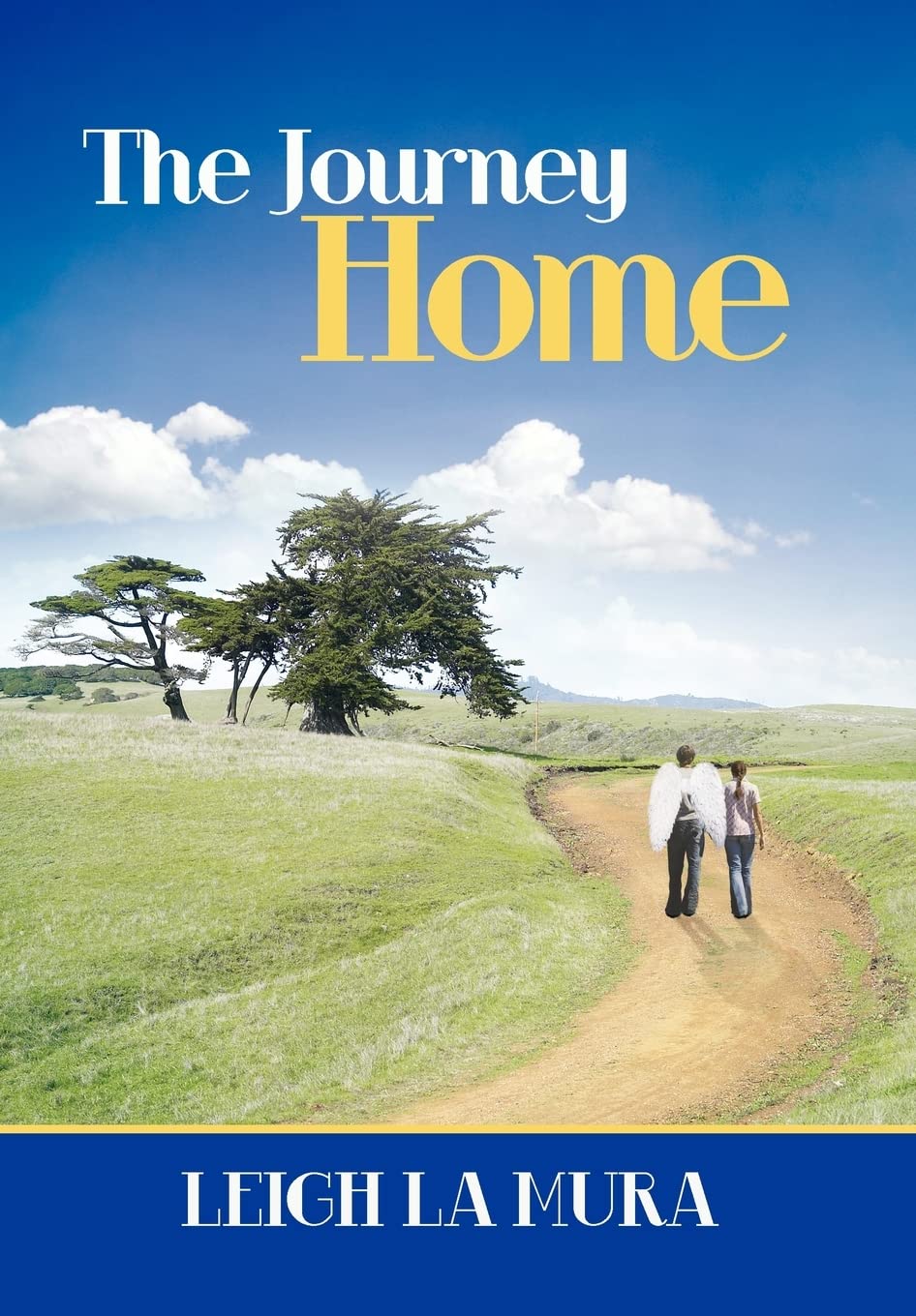 The Journey Home,Used