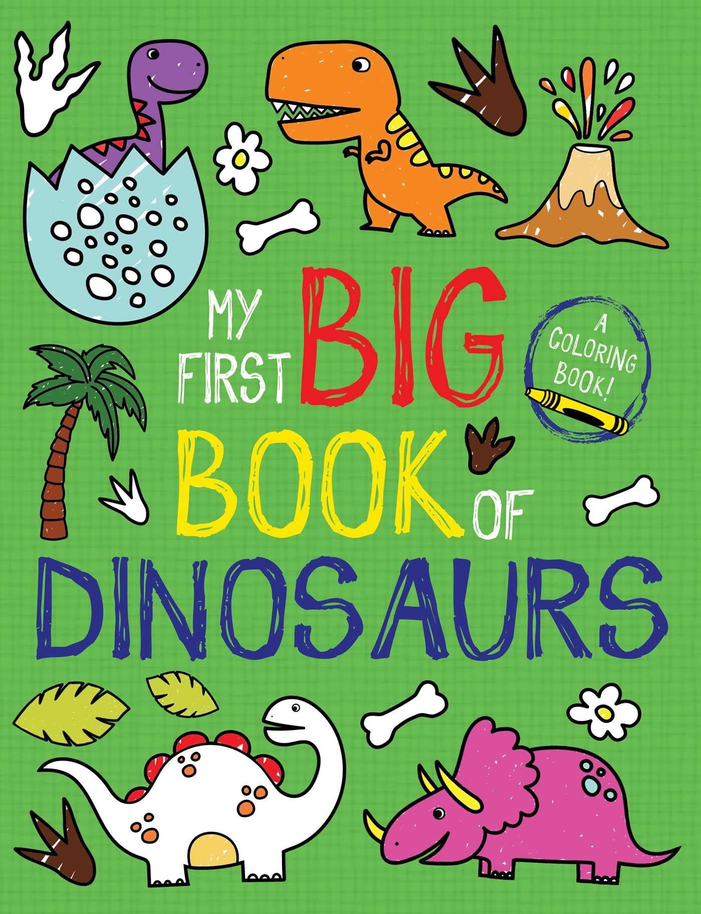 My First Big Book of Dinosaurs (My First Big Book of Coloring),Used