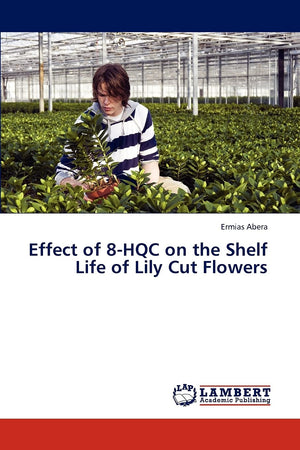 Effect of 8HQC on the Shelf Life of Lily Cut Flowers,Used