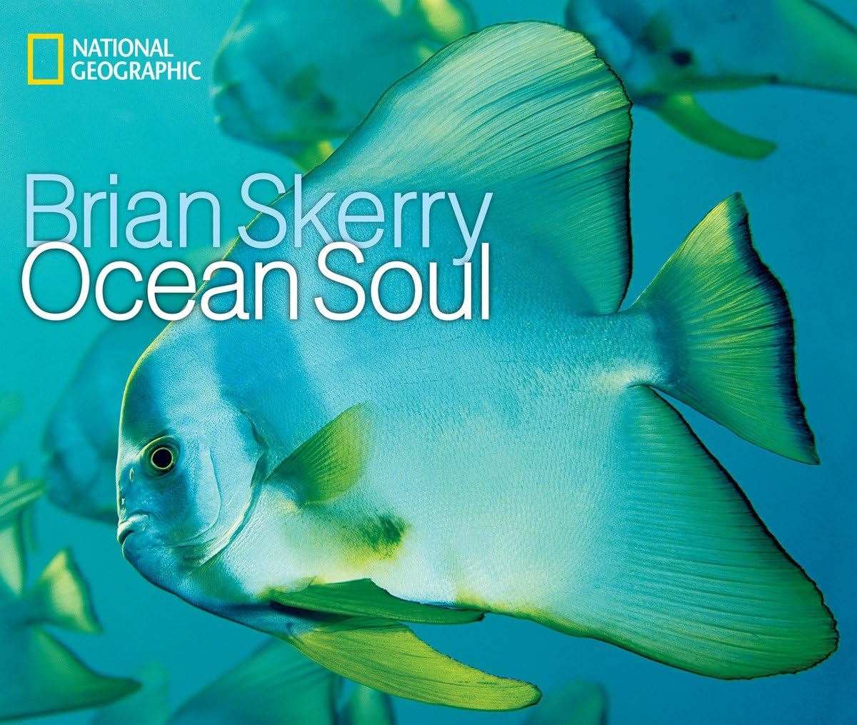 Ocean Soul,Used