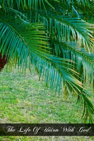 The Life Of Union With God: And The Means Of Attaining It According To The Great Masters Of Spirituality,New