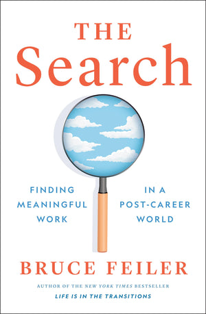 The Search: Finding Meaningful Work In A Postcareer World,New