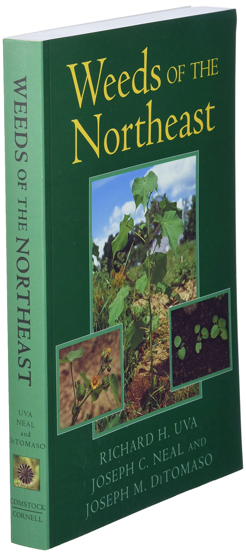Weeds Of The Northeast,Used