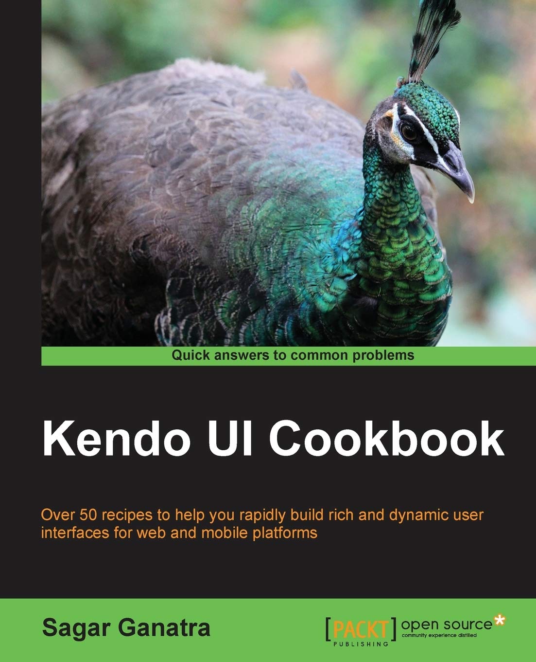 Kendo Ui Cookbook,Used