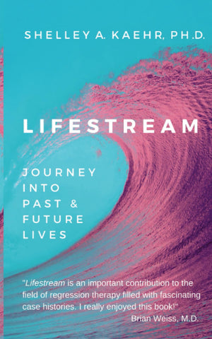 Lifestream: Journey Into Past & Future Lives,Used