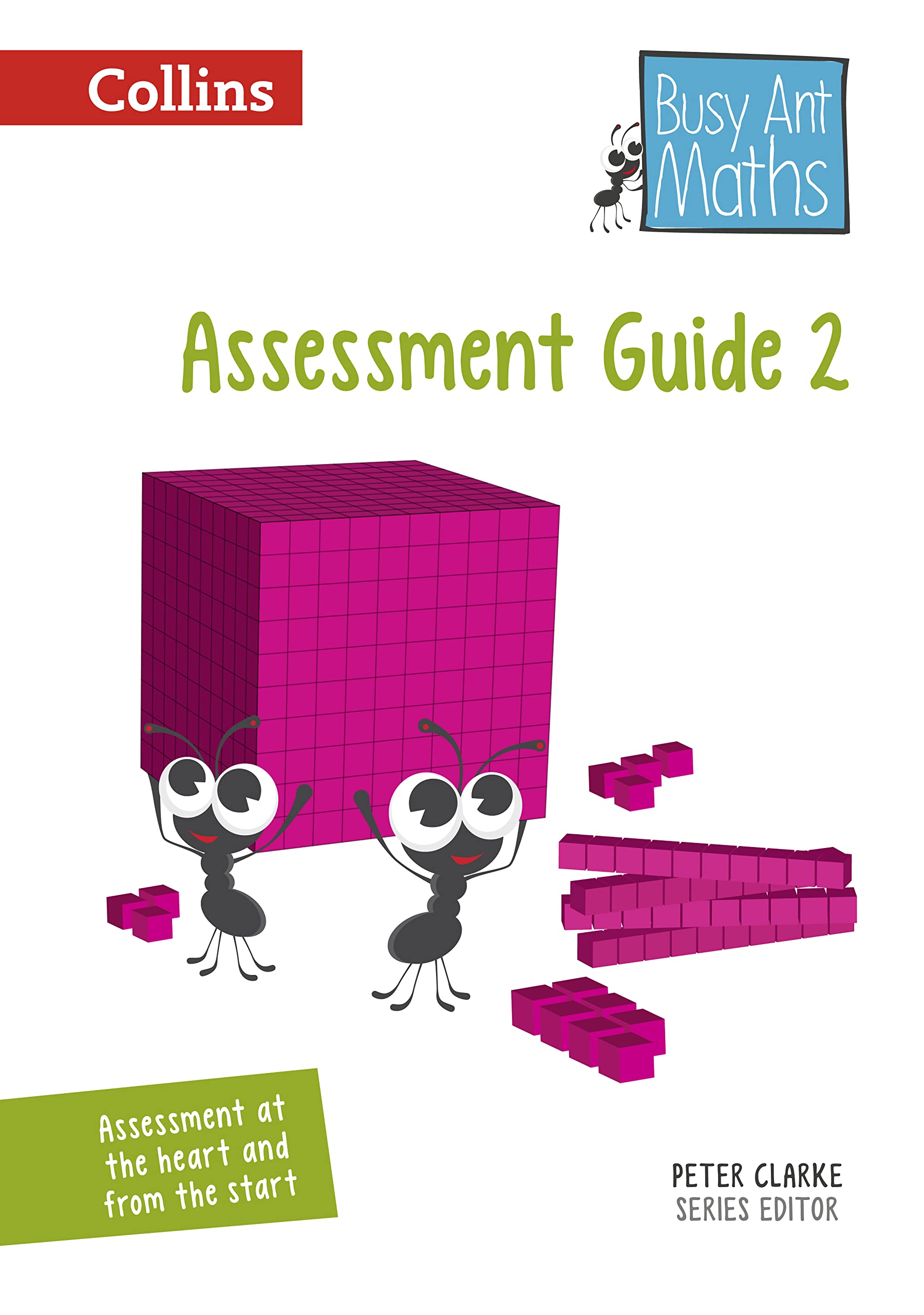 Busy Ant Maths  Year 2 Assessment Guide,Used