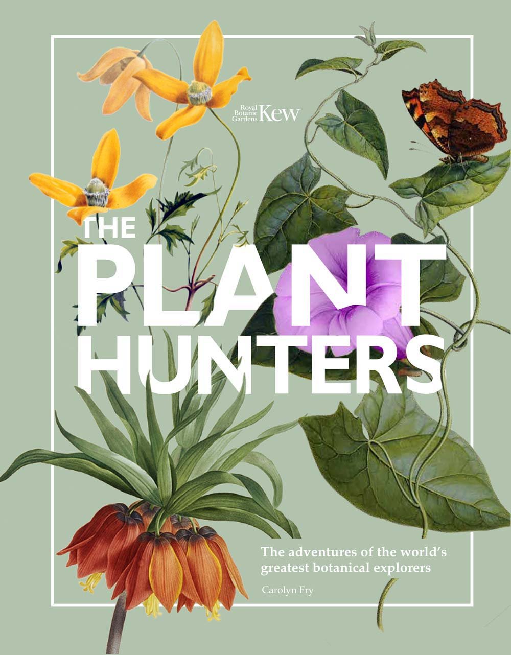 The Plant Hunters: The Adventures of the World's Greatest Botanical Explorers (Y),Used