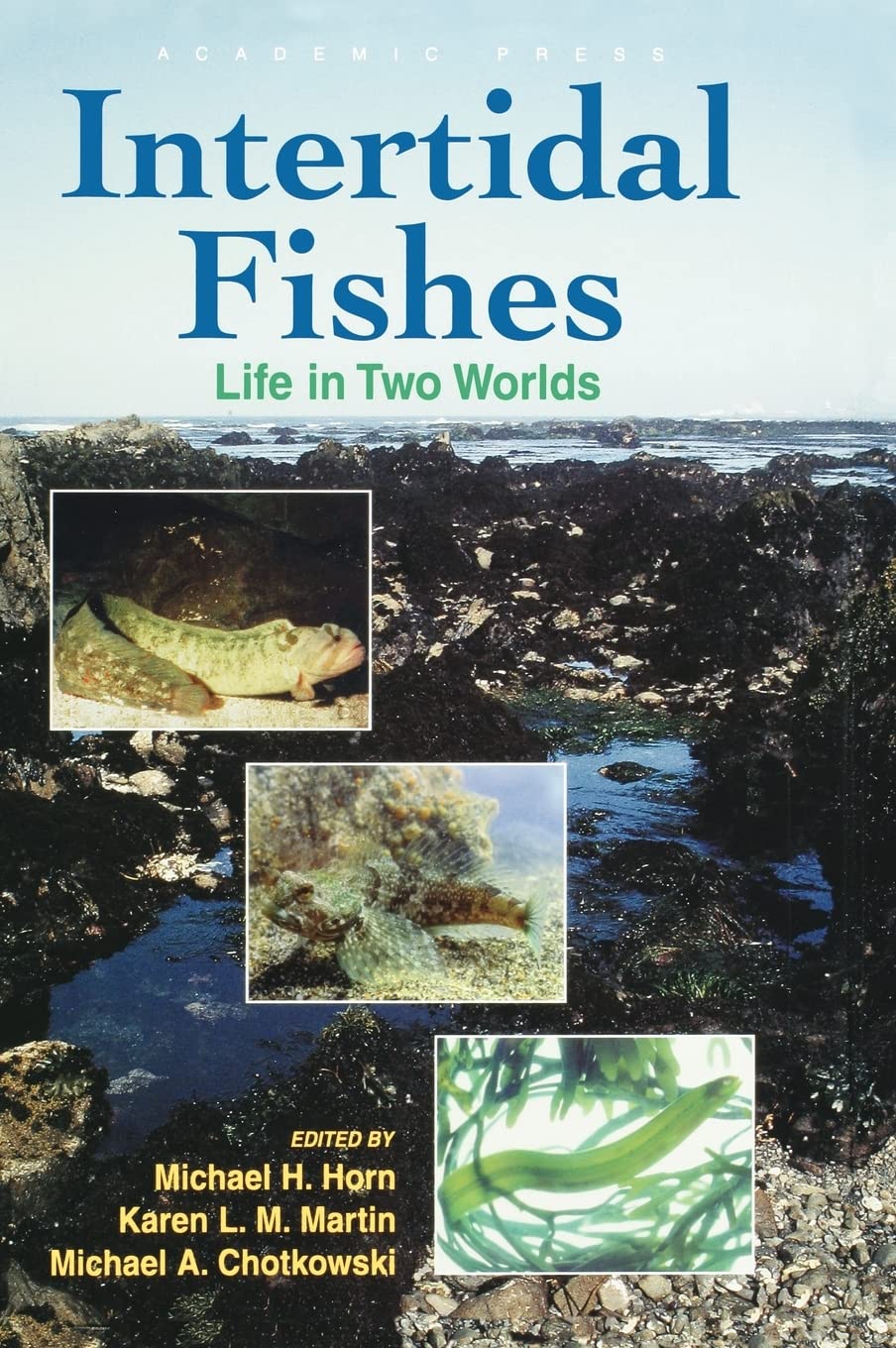 Intertidal Fishes: Life in Two Worlds,New
