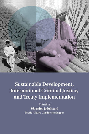 Sustainable Development, International Criminal Justice, and Treaty Implementation (Treaty Implementation for Sustainable Develo,Used
