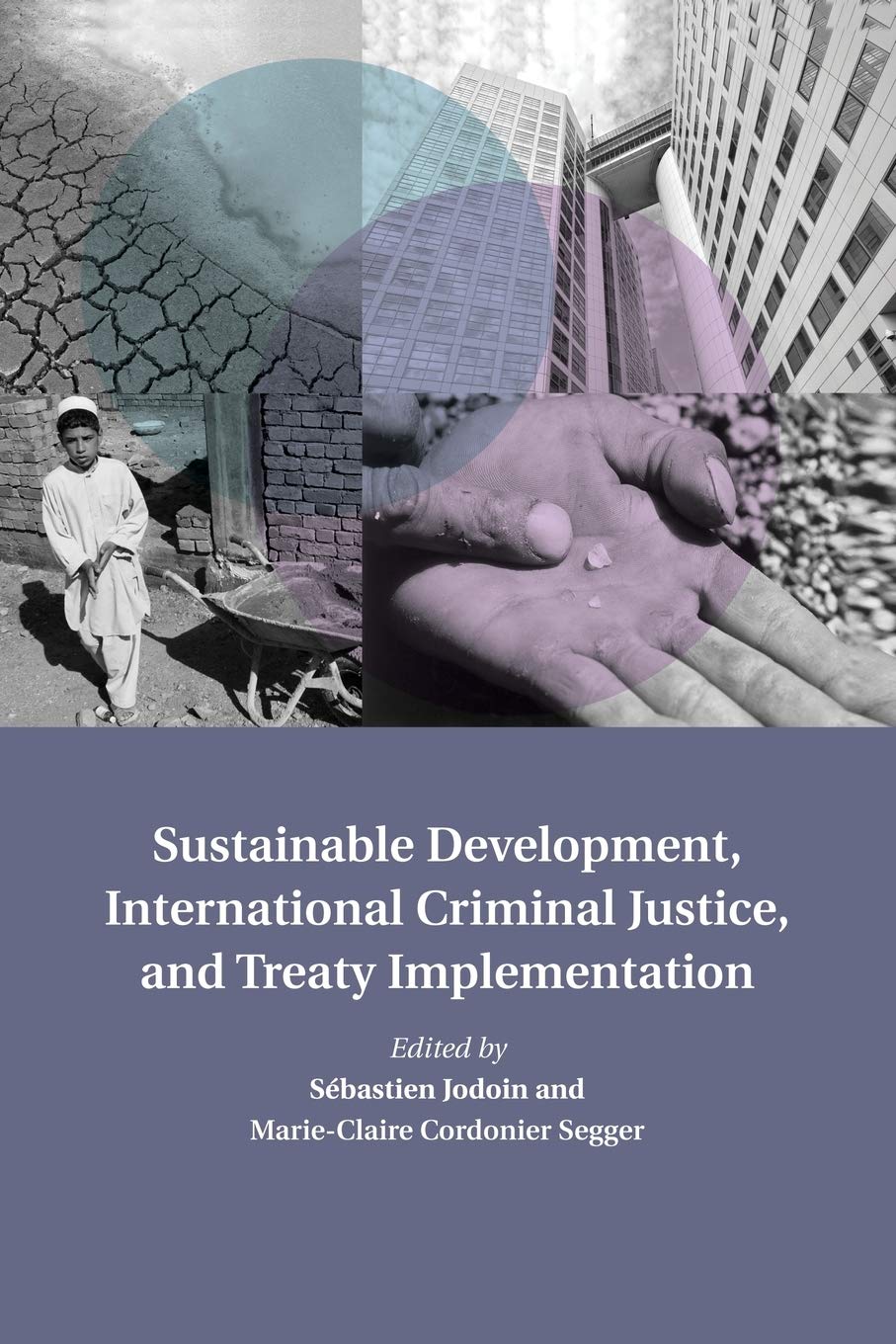 Sustainable Development, International Criminal Justice, and Treaty Implementation (Treaty Implementation for Sustainable Develo,Used