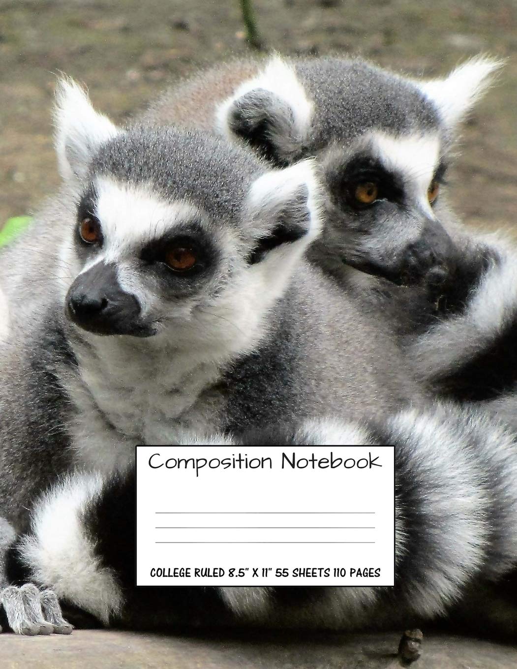 Composition Notebook: College Ruled Ring Tailed Lemur Cute Composition Notebook, Girl Boy School Notebook, College Notebooks, Co,Used