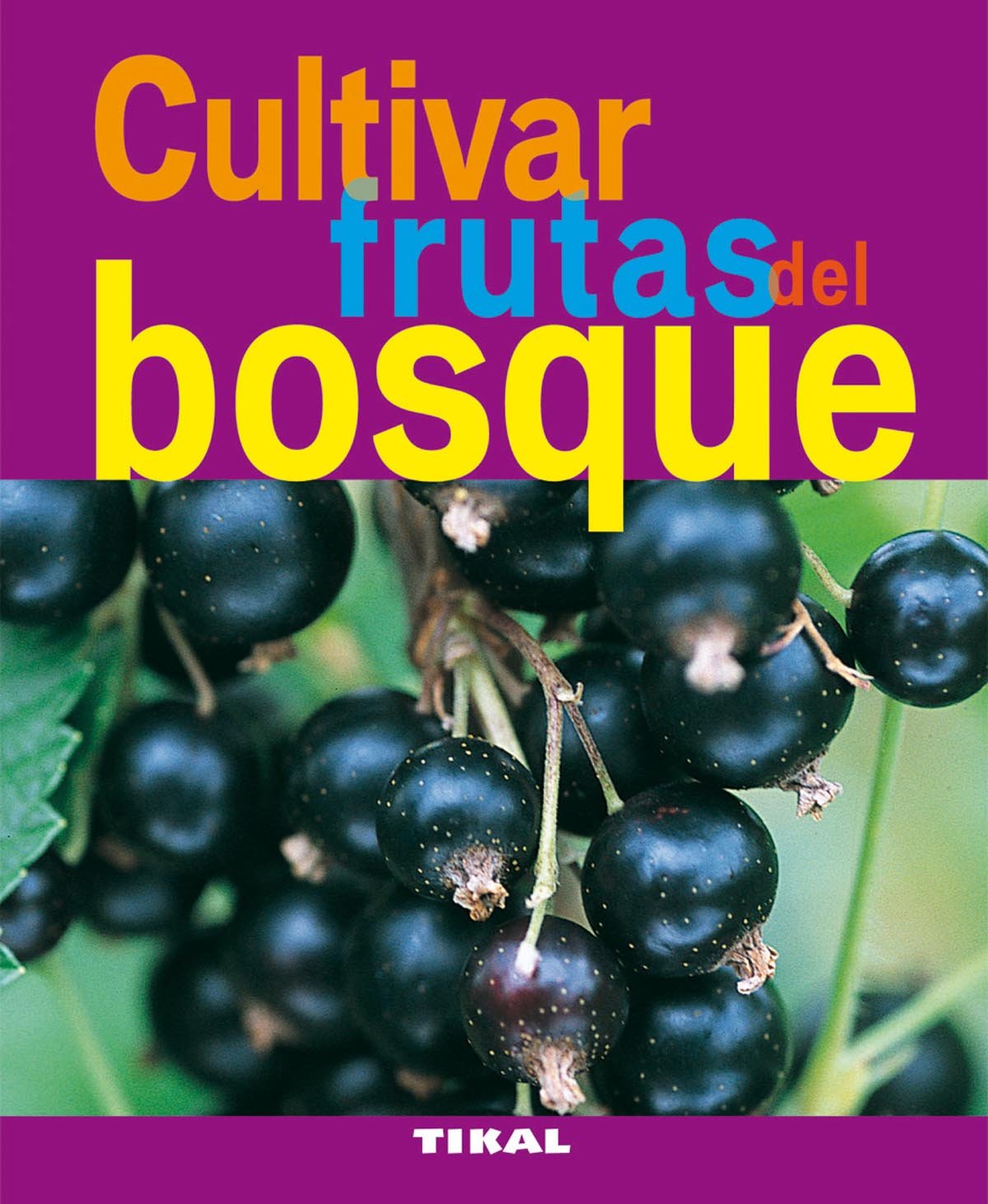 Cultivar frutas del bosque (Jardineria y plantas / Gardening & Plants) (Spanish Edition),Used