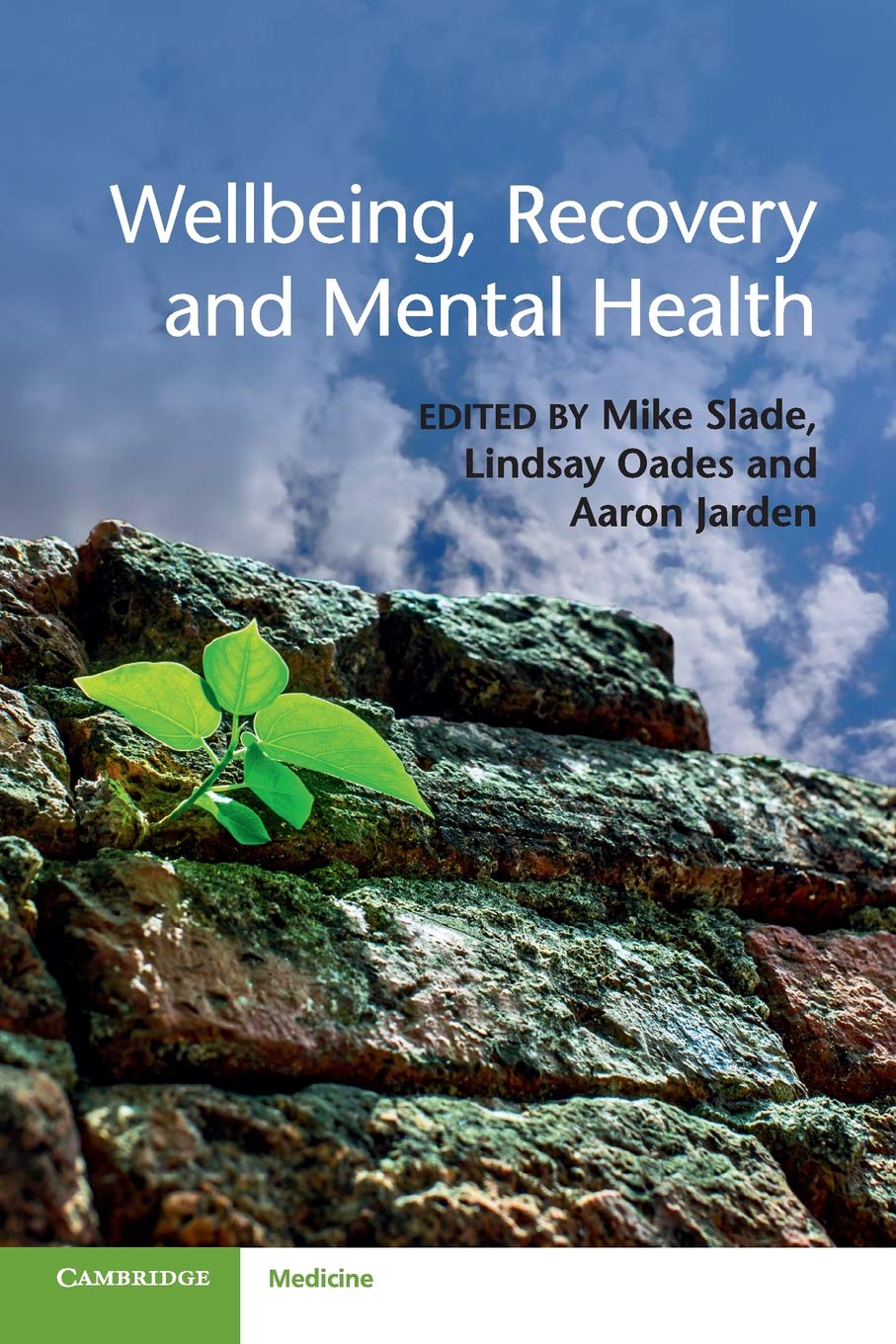 Wellbeing, Recovery and Mental Health,Used