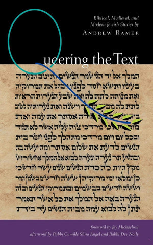 Queering the Text: Biblical, Medieval, and Modern Jewish Stories (White Crane Wisdom),Used