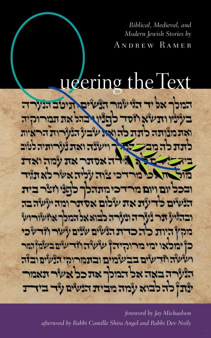Queering the Text: Biblical, Medieval, and Modern Jewish Stories (White Crane Wisdom),Used