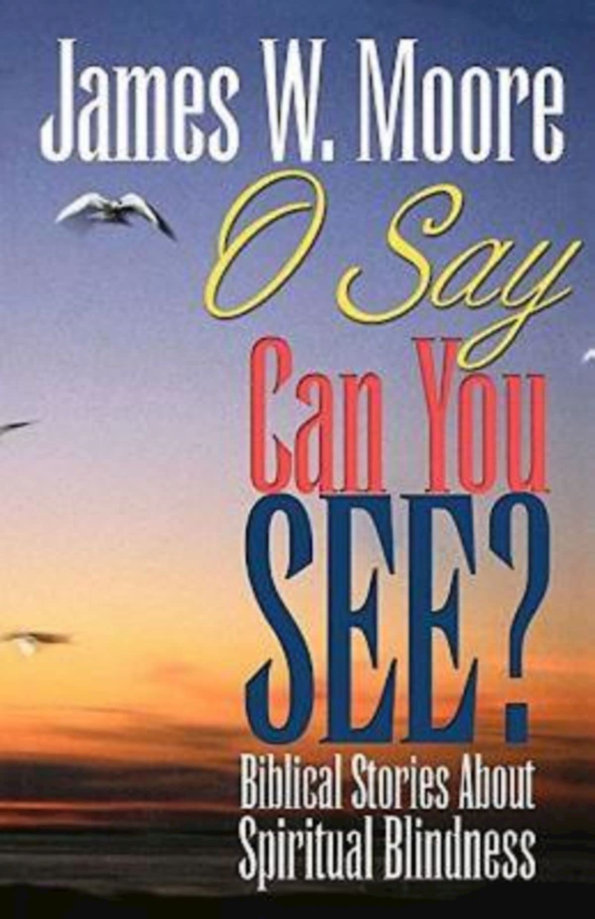 O Say Can You See?: Biblical Stories About Spiritual Blindness,Used