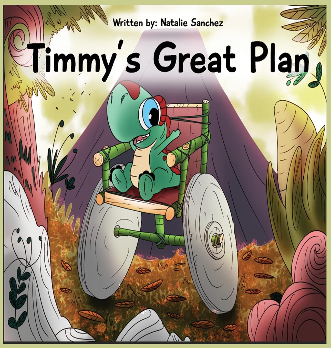 Timmy's Great Plan,Used