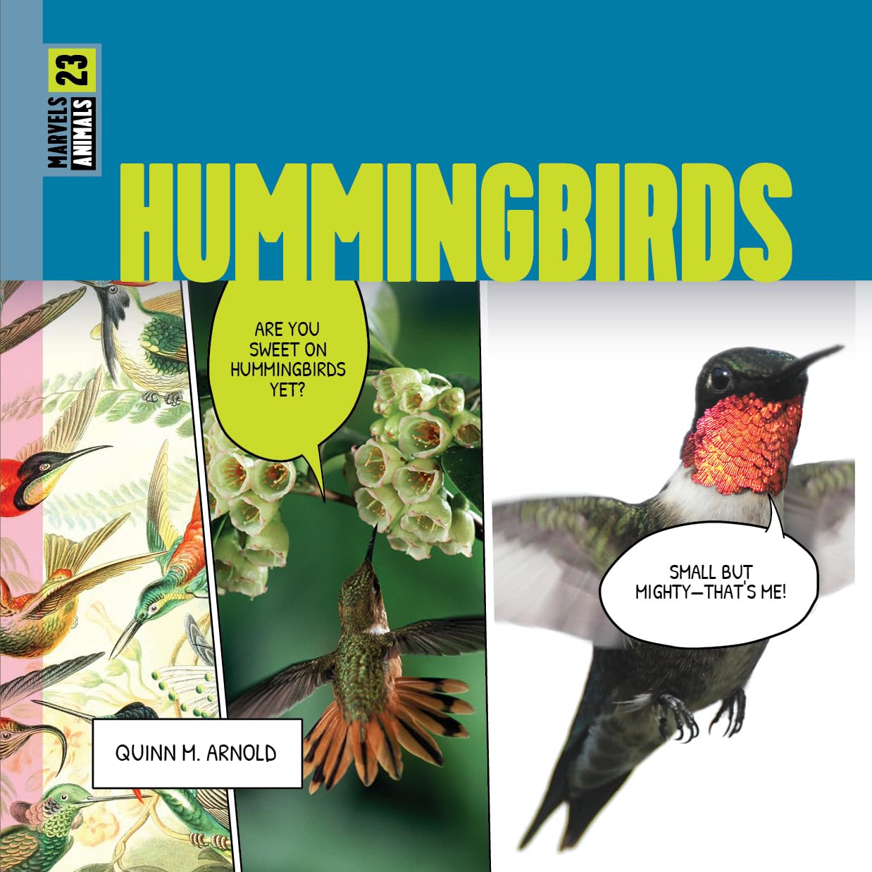 HUMMINGBIRDS