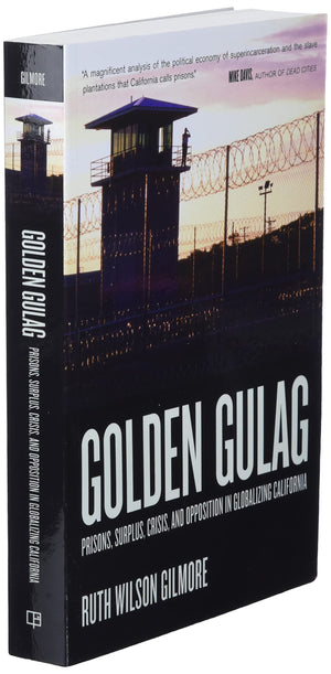 Golden Gulag: Prisons, Surplus, Crisis, and Opposition in Globalizing California (American Crossroads) (Volume 21),Used