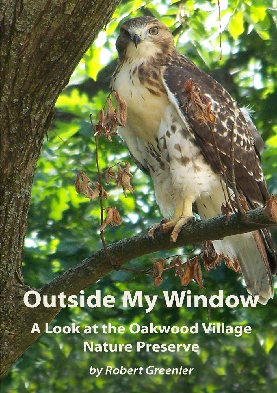 Outside My Window: A Look at the Oakwood Village Nature Preserve,Used