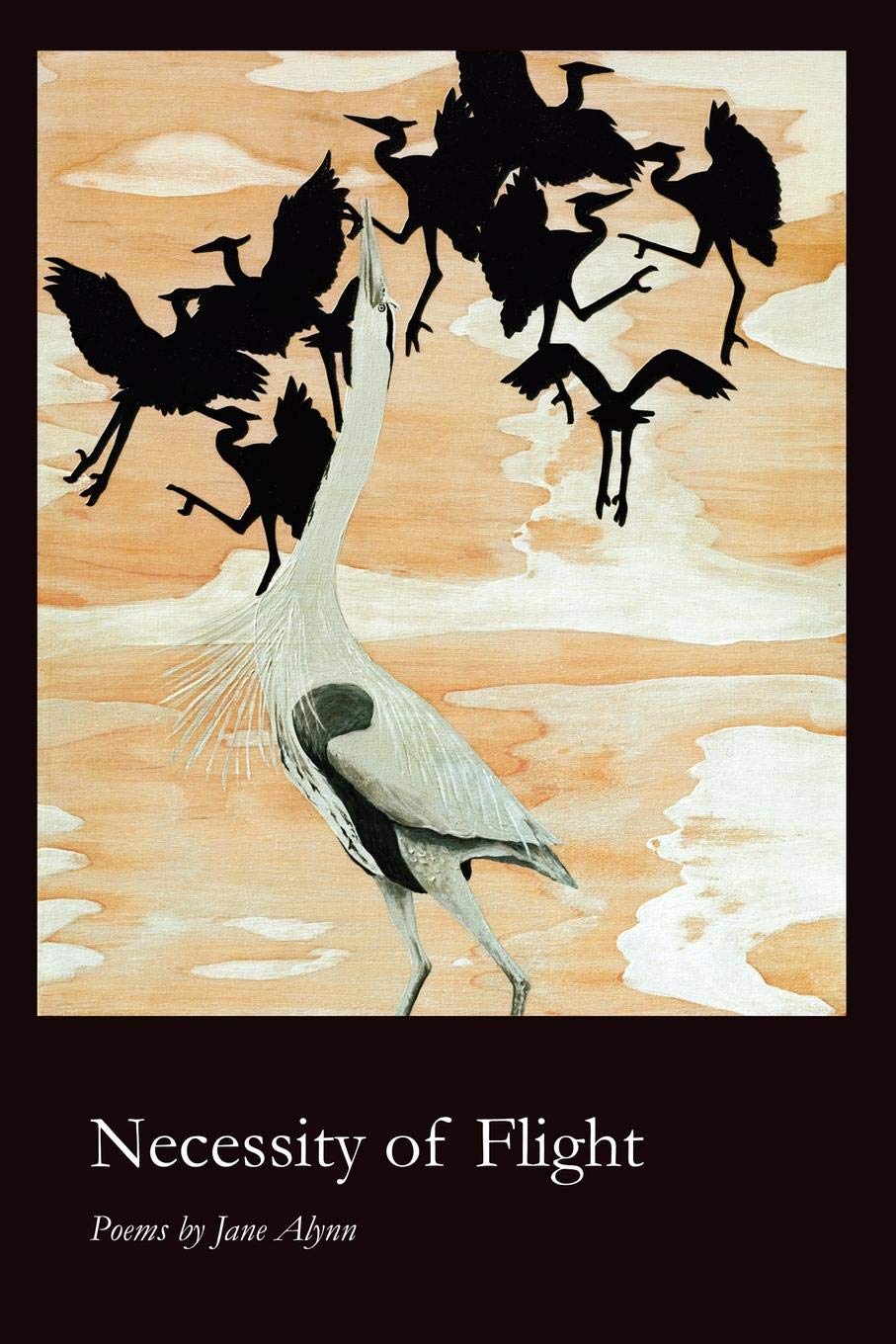 Necessity of Flight,Used