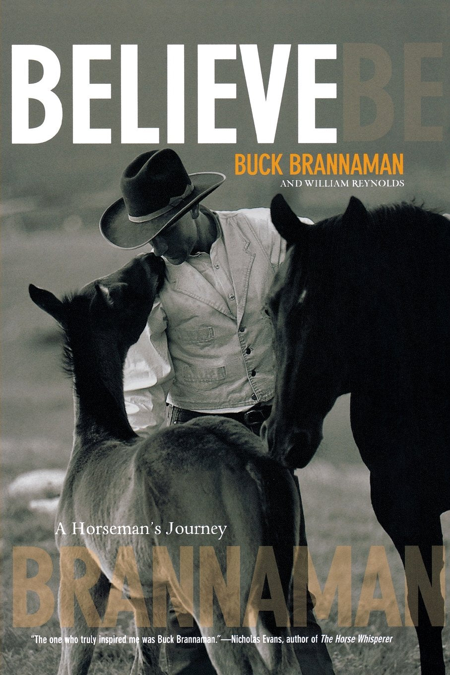 Believe: A Horsemans Journey