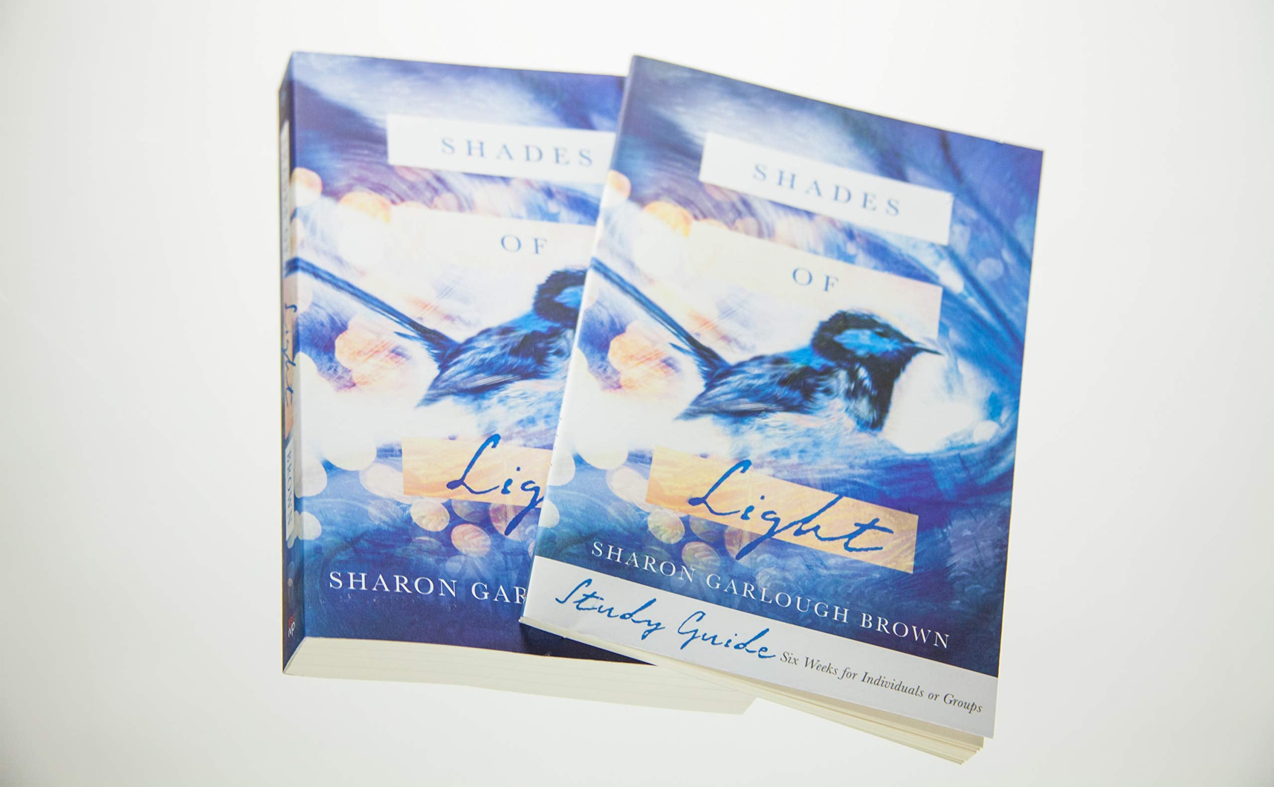 Shades of Light: A Novel,Used