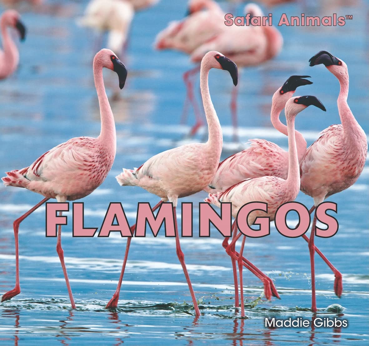 Flamingos (Safari Animals),Used