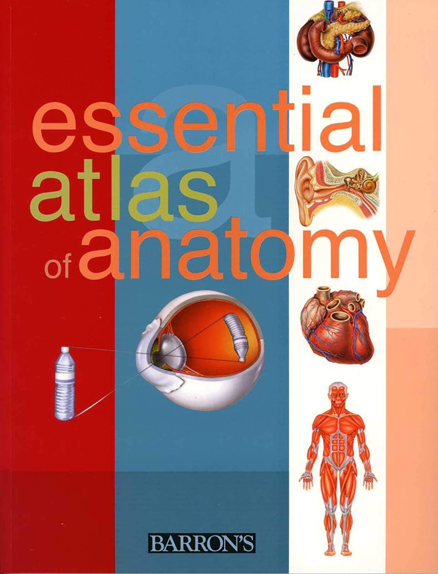 Essential Atlas of Anatomy,Used