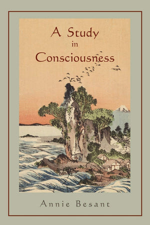 A Study In Consciousness: A Contribution To The Science Of Psychology