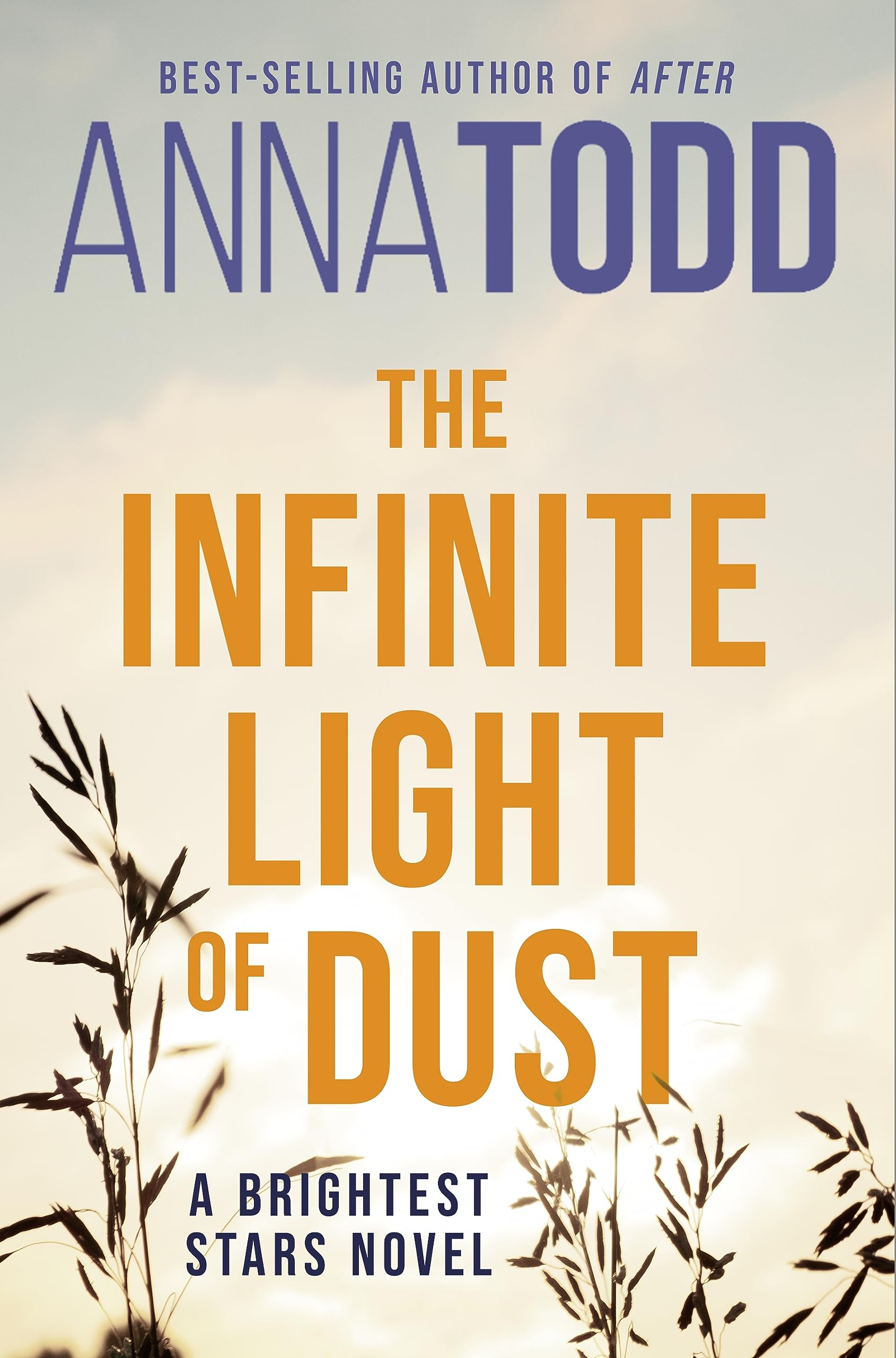 The Infinite Light Of Dust,Used