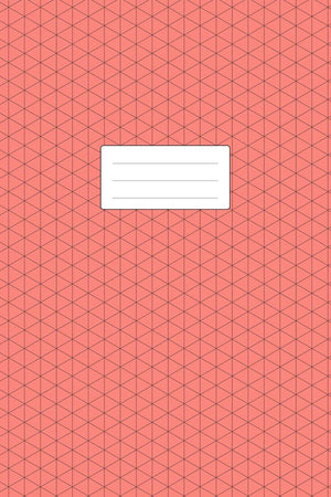 Isometric Graph Paper Notebook: 100+ Pages  For Technical Drawing, Perspective Art, 3D Drafting, Map Design  6 x 9 Inch Soft Cov,Used