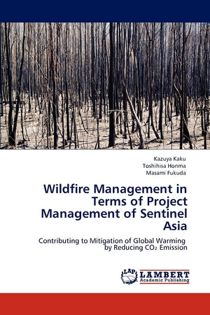 Wildfire Management in Terms of Project Management of Sentinel Asia: Contributing to Mitigation of Global Warming by Reducing CO,Used