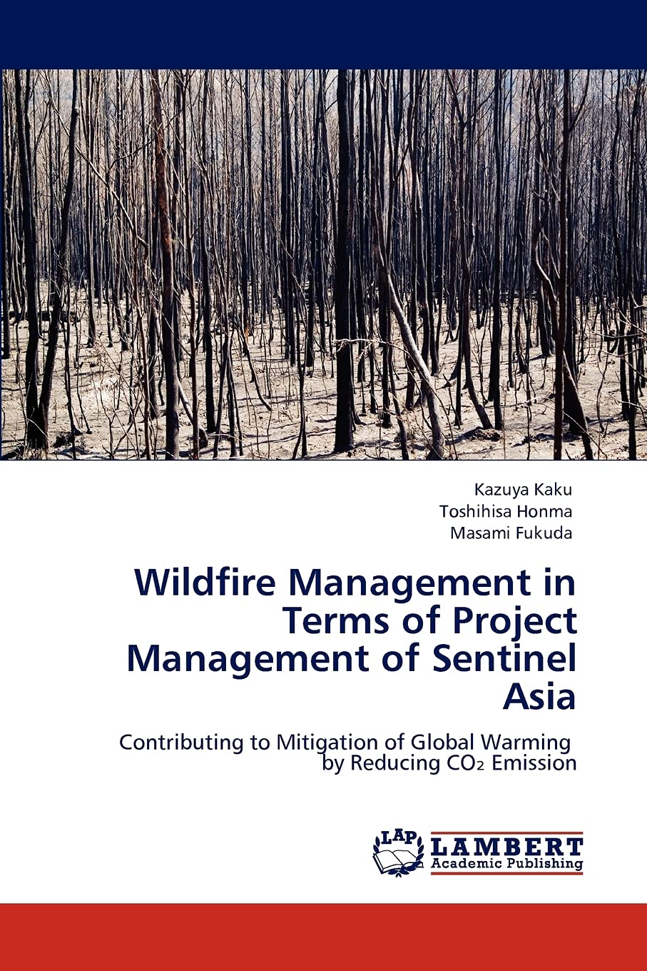 Wildfire Management in Terms of Project Management of Sentinel Asia: Contributing to Mitigation of Global Warming by Reducing CO,Used