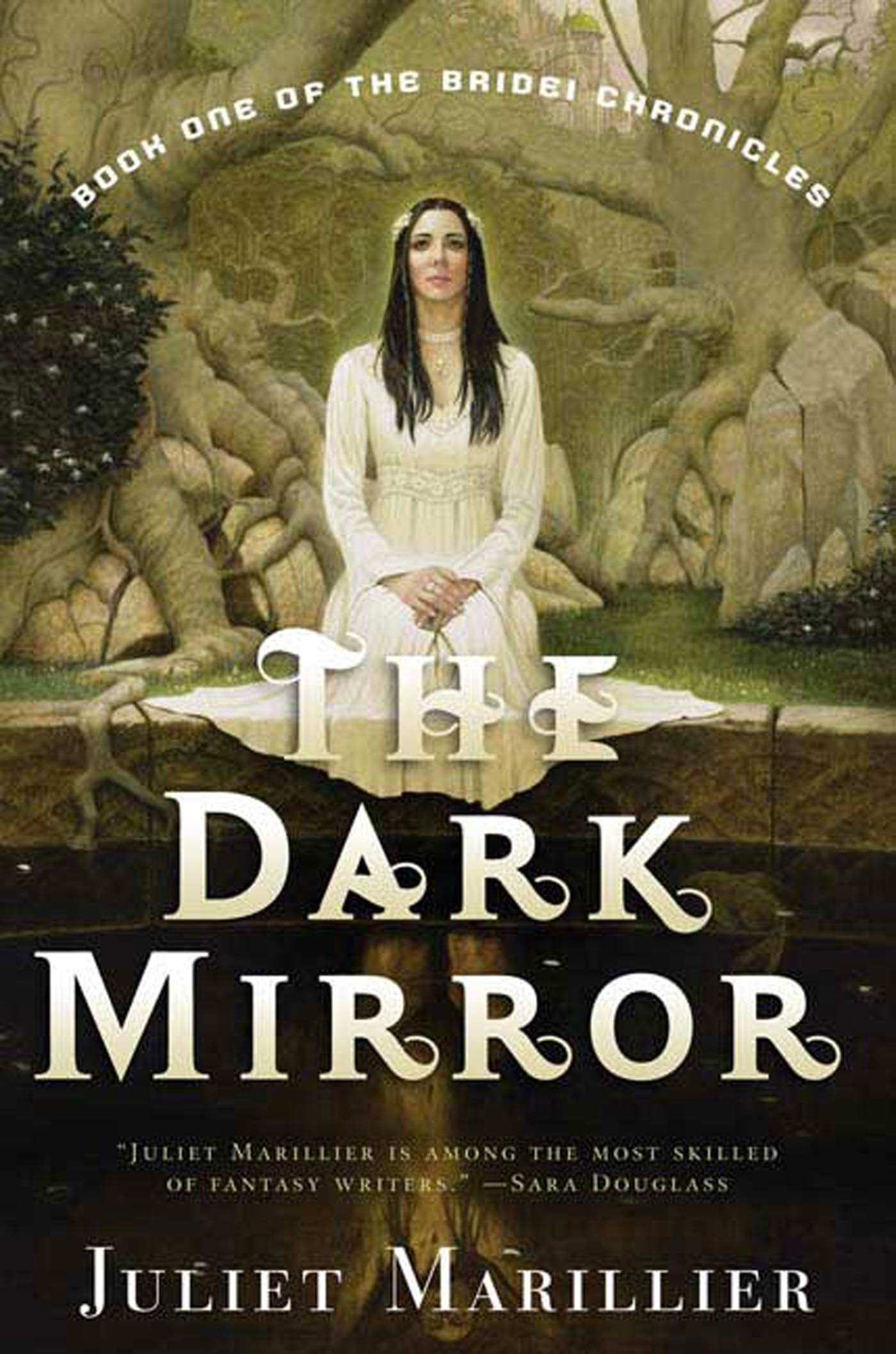 The Dark Mirror: Book One of the Bridei Chronicles (Bridei Chronicles, 1),Used
