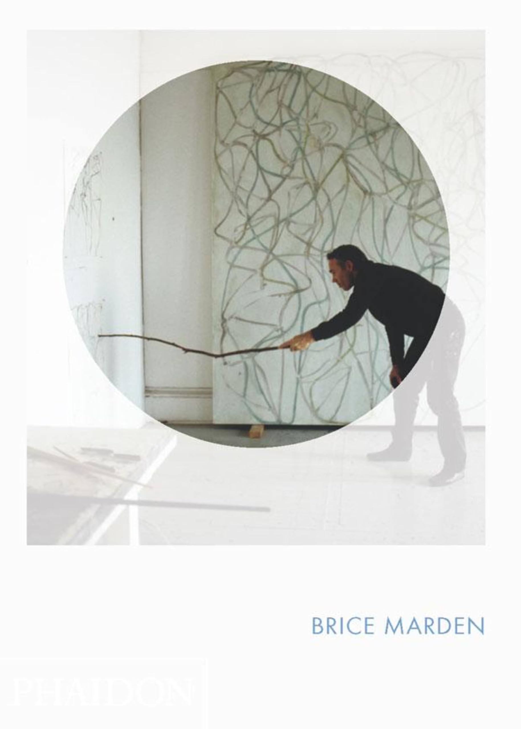 Brice Marden: Phaidon Focus,Used